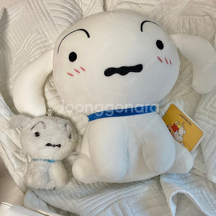 흰둥이 인형 키링--0