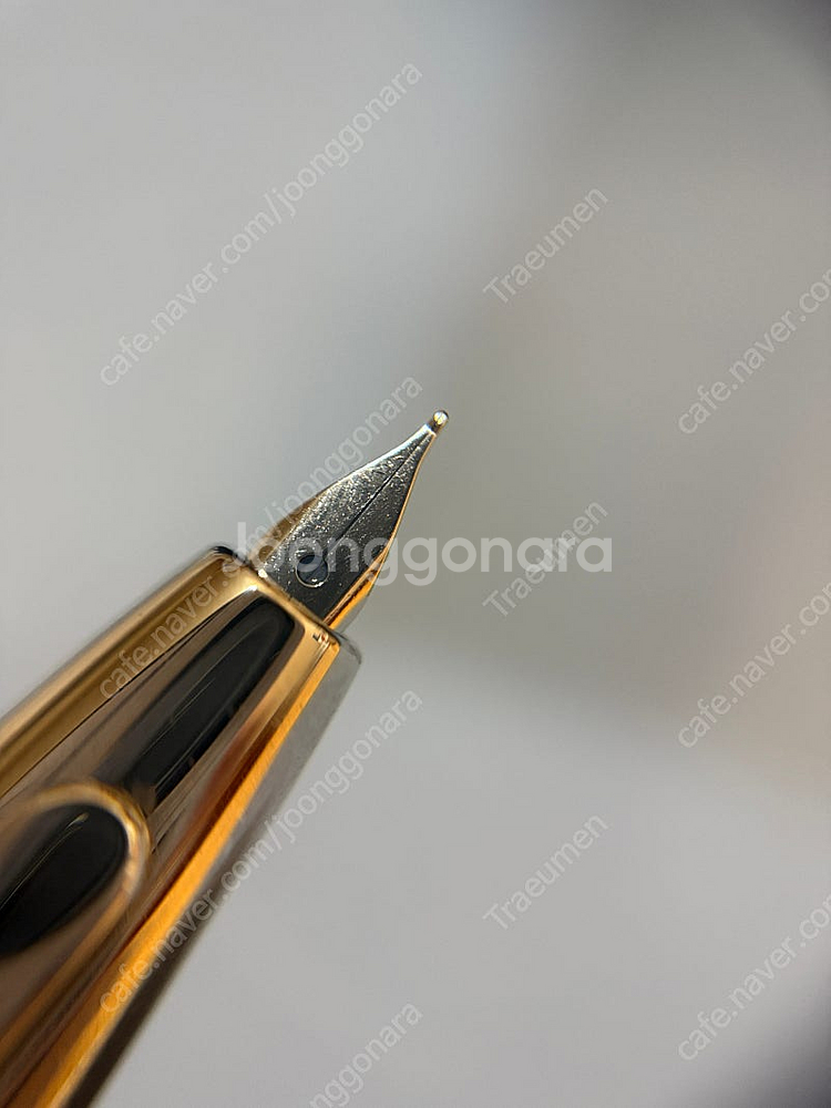 파이롯트 캡리스 데시모 - 케곤(우에분 한정) F닙 만년필 파일로트--4