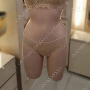 에블린 레이스 브라팬티 80B 90새상품
