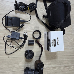 소니 a6000 + 시그마 18-50