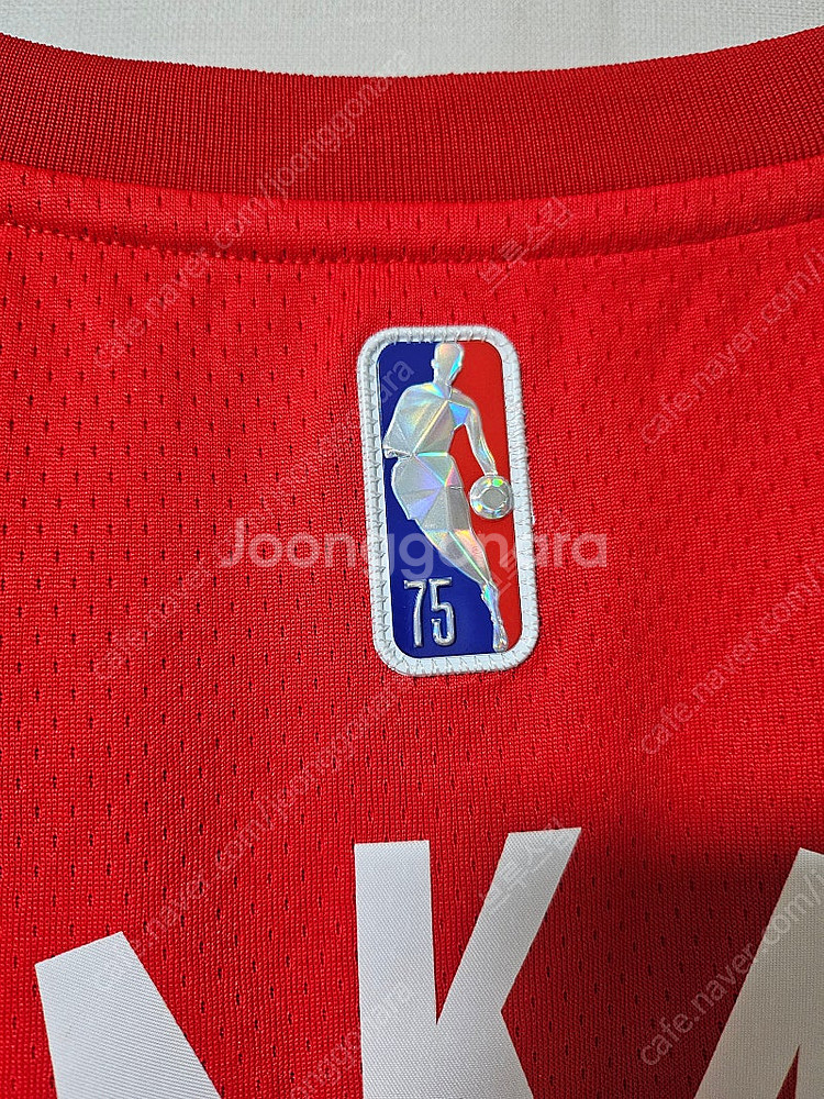 NBA 토론토 랩터스 레인자켓(사이즈 L), 시아캄 유...--7