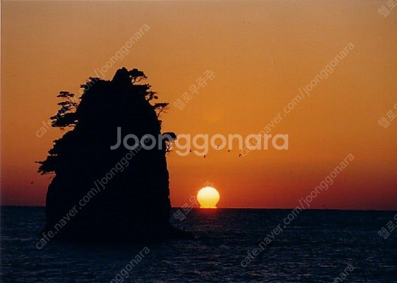 CANON af35m(a급), aa2개기능정상, 캐논렌...--0