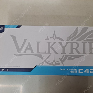VALKYRIE (발키리) C420 블랙 판매합니다