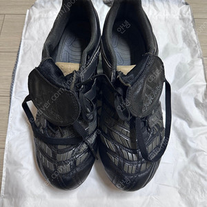 아디다스 프레데터 엑셀러레이터 270mm