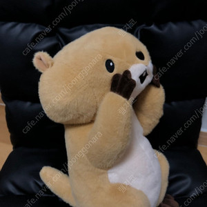 [인형뽑기]중형 키링 산리오 키티 그로밋 몰티즈 신상템 와사비베어 짱구 휜둥이