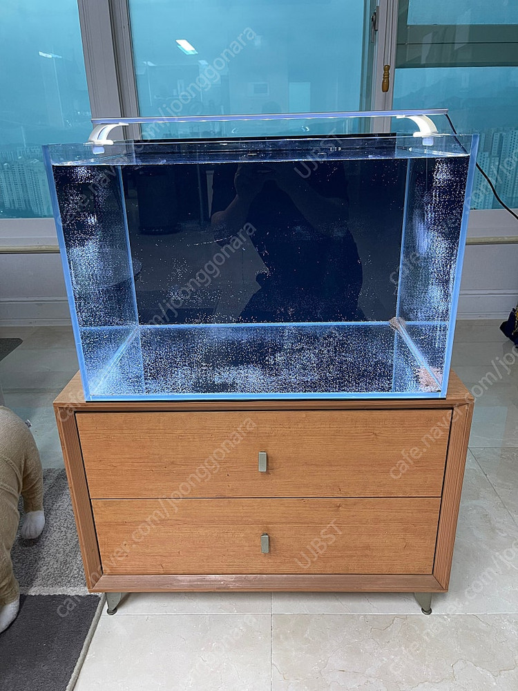 (경기 북부) 2자 광폭 6T 프리미엄 어항 서랍형 받침대 세트 상태 S급 판매 (개별--2