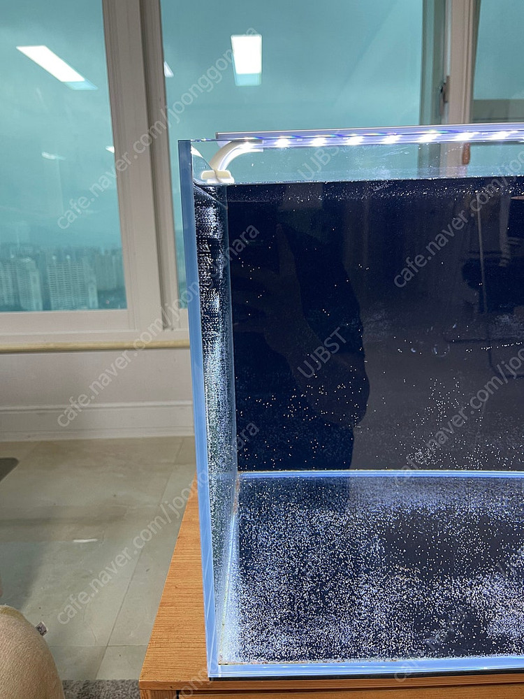 (경기 북부) 2자 광폭 6T 프리미엄 어항 서랍형 받침대 세트 상태 S급 판매 (개별--3