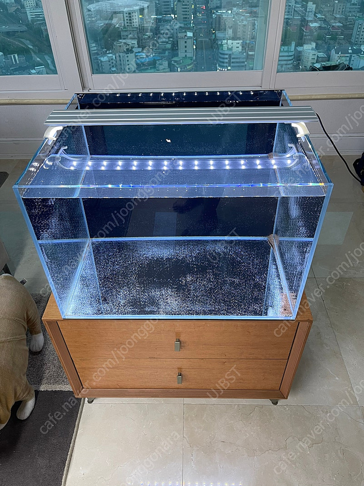 (경기 북부) 2자 광폭 6T 프리미엄 어항 서랍형 받침대 세트 상태 S급 판매 (개별--4