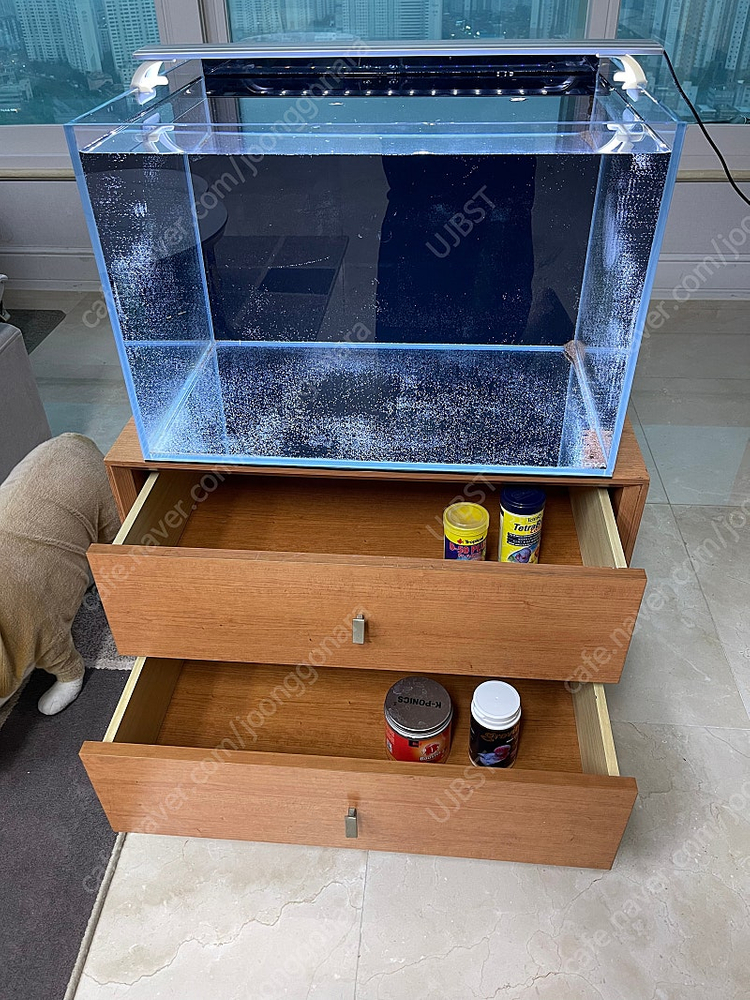 (경기 북부) 2자 광폭 6T 프리미엄 어항 서랍형 받침대 세트 상태 S급 판매 (개별--5