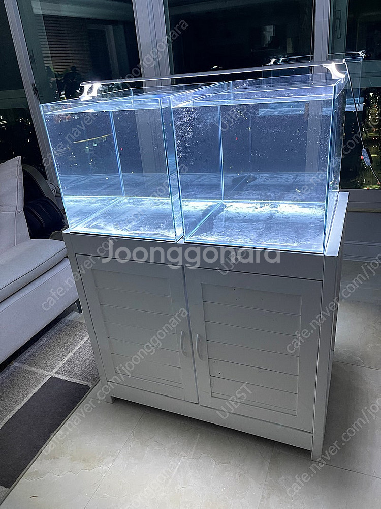 (경기 북부) 프리미엄 60큐브 올디아망 수조 6T 어...--1