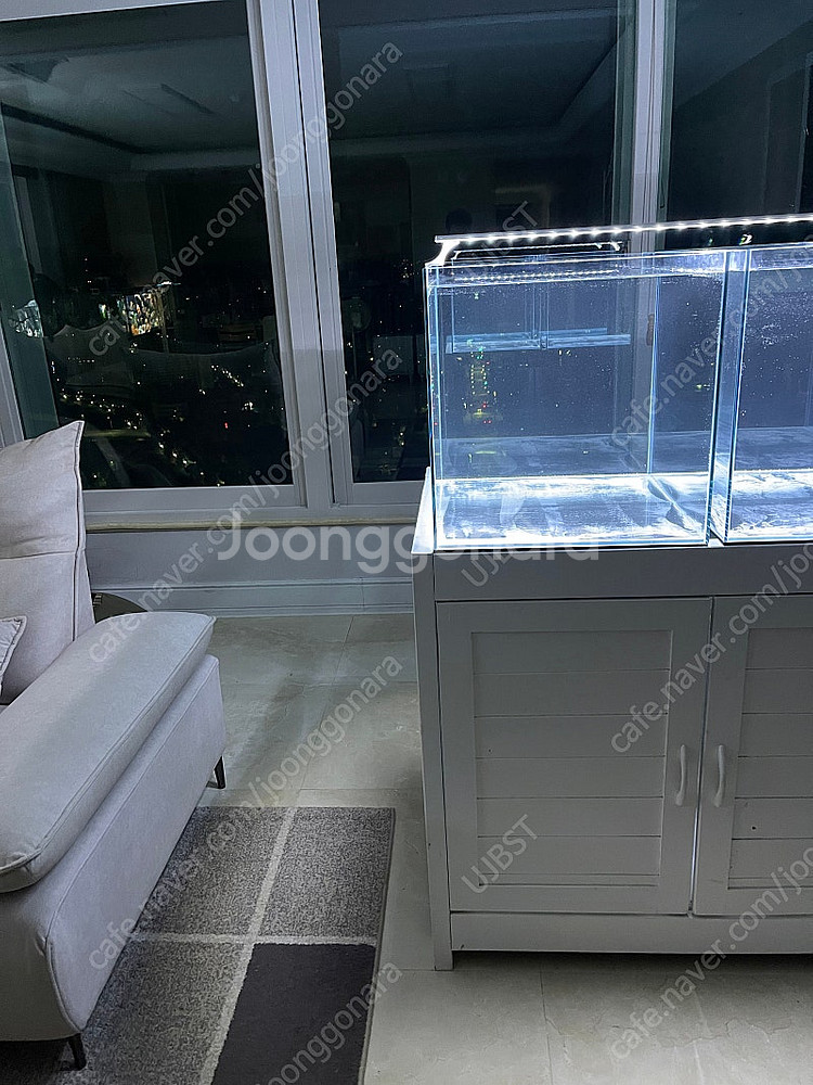 (경기 북부) 프리미엄 60큐브 올디아망 수조 6T 어...--4