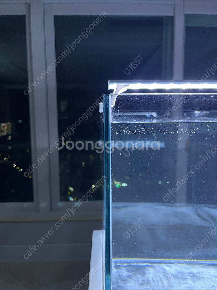 (경기 북부) 프리미엄 60큐브 올디아망 수조 6T 어...--8