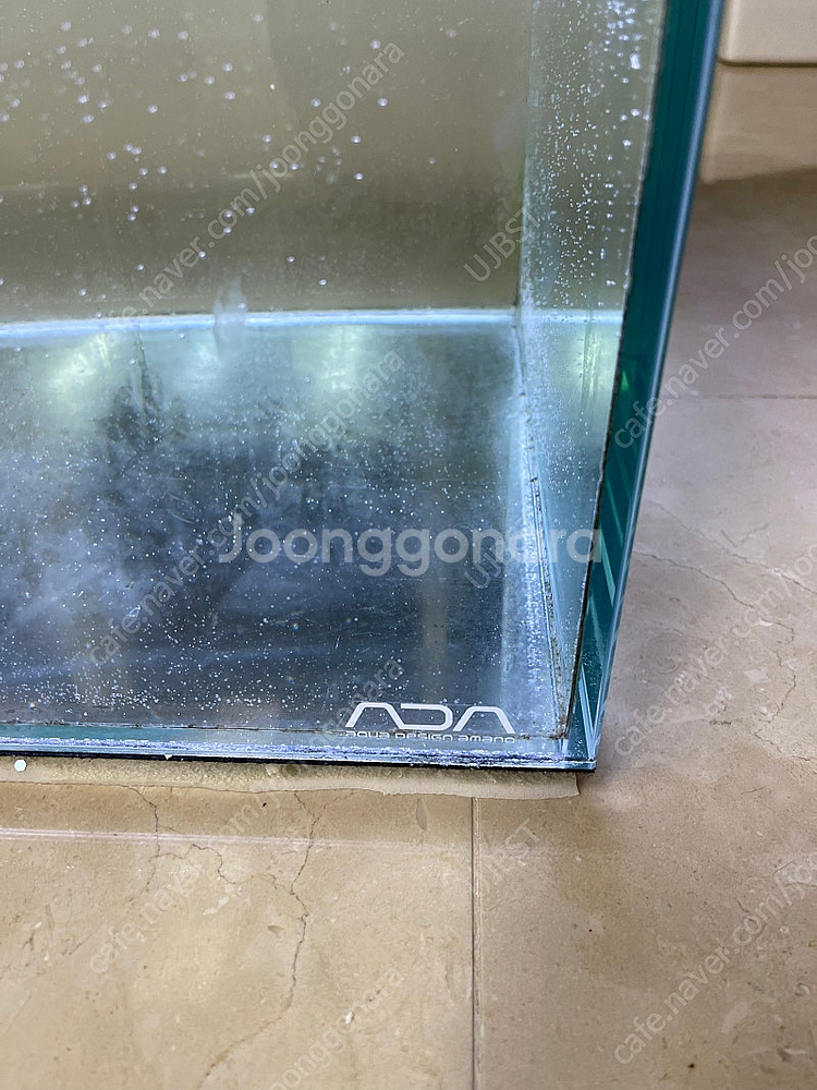 (경기 북부) 우파루파, 테라핀 키우기 프리미엄 ADA...--5
