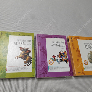 이문열 창작선1~10권/ 청소년을 위한 세계사 한국사/ 마키아벨리 다시읽기/ 한강 GREEK LESSON 영문판/ 문학시간에 소설읽기 1~3/ 전태일 평전/ 스티브잡스 민음사/ 문