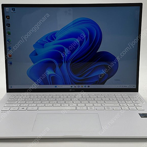 [LG전자]그램1616Z90P-GA79K/i7-1165G7,16GBRAM,1TBSSD,16"WQXGA,충전기포함