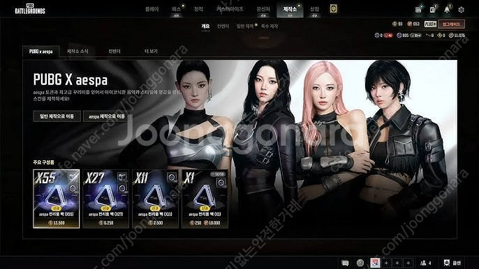 배그 에스파 스킨 판매--0