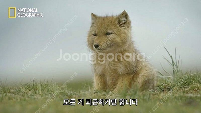씨유 편의점 2000원 상품권 2000 -> 1500원...--0