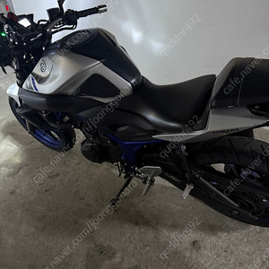 mt03