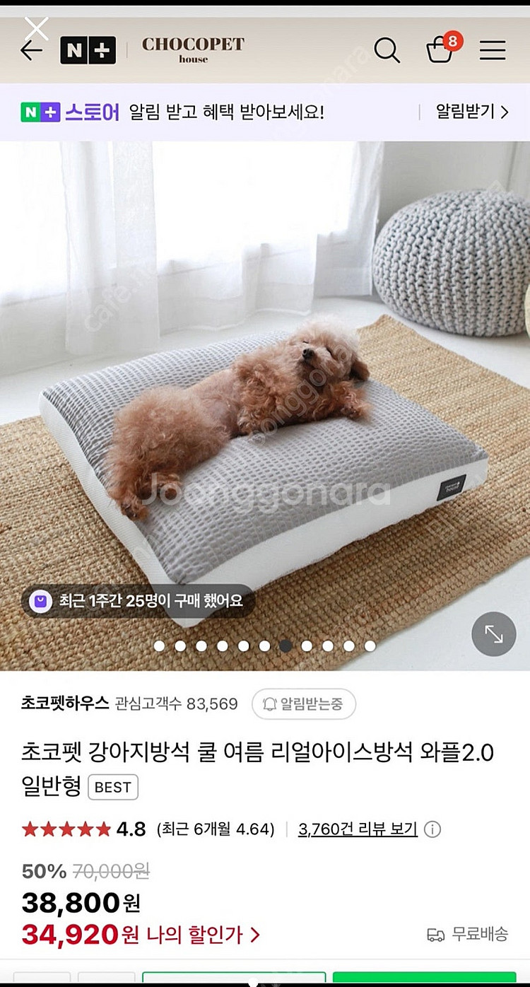 초코펫 아이스쿨 방석 판매해요--0