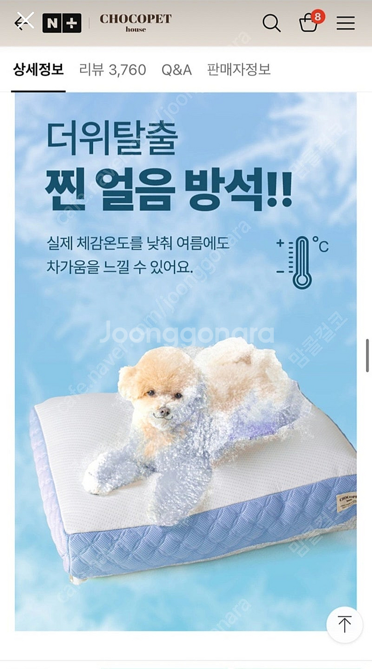초코펫 아이스쿨 방석 판매해요--1