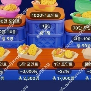 소원꽃