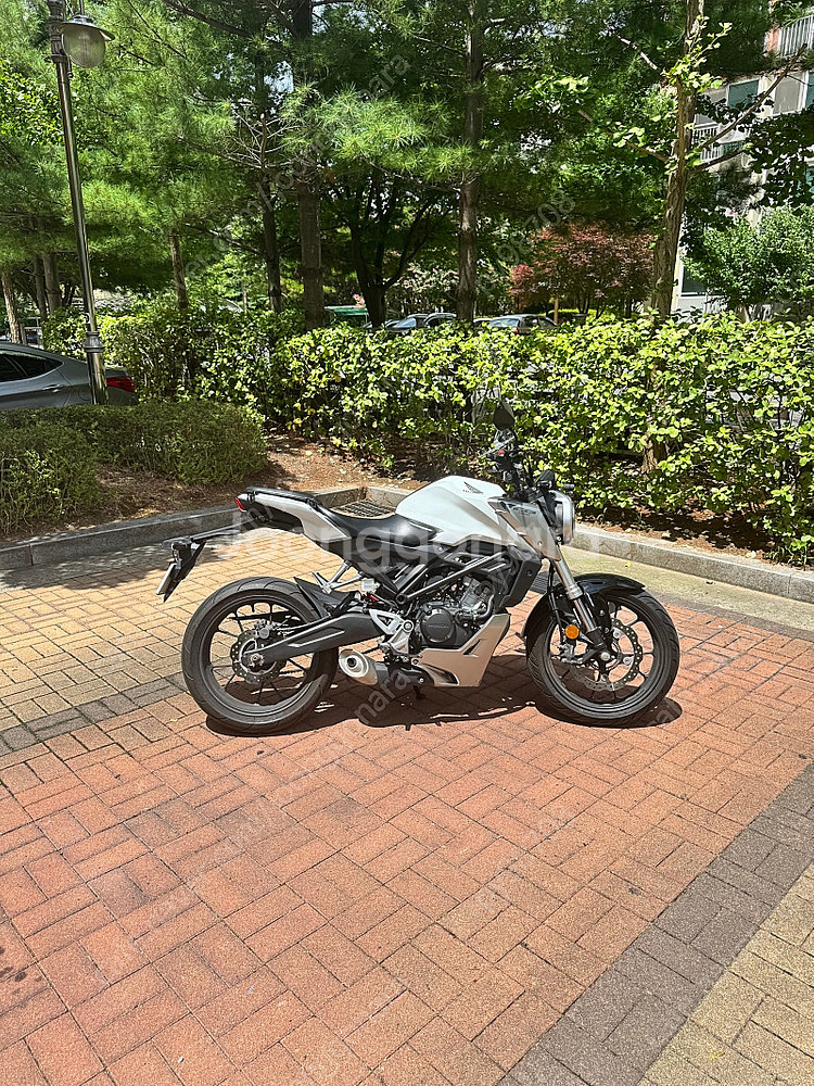 Cb125r 화이트 (개인)--0