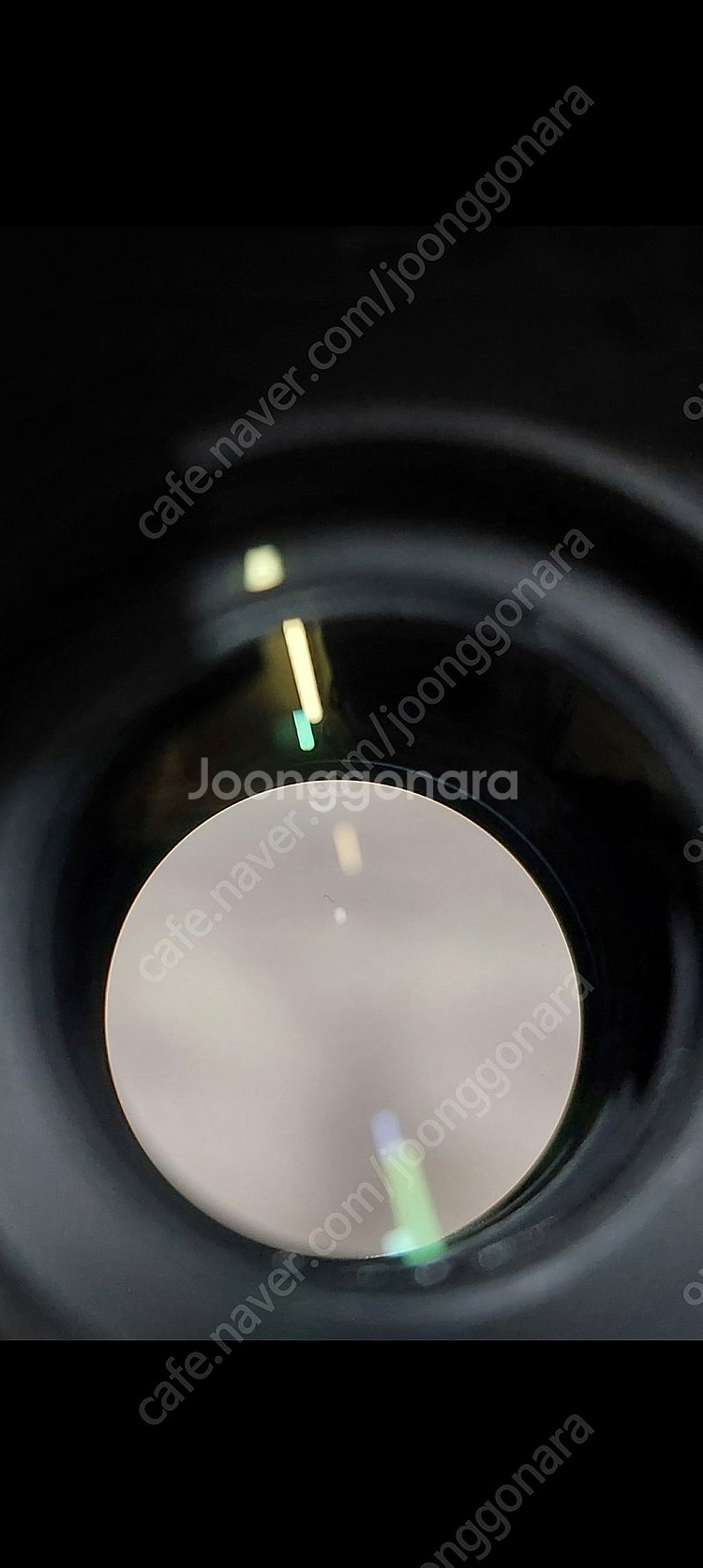 EF24-70 F4L IS 형아계륵--2