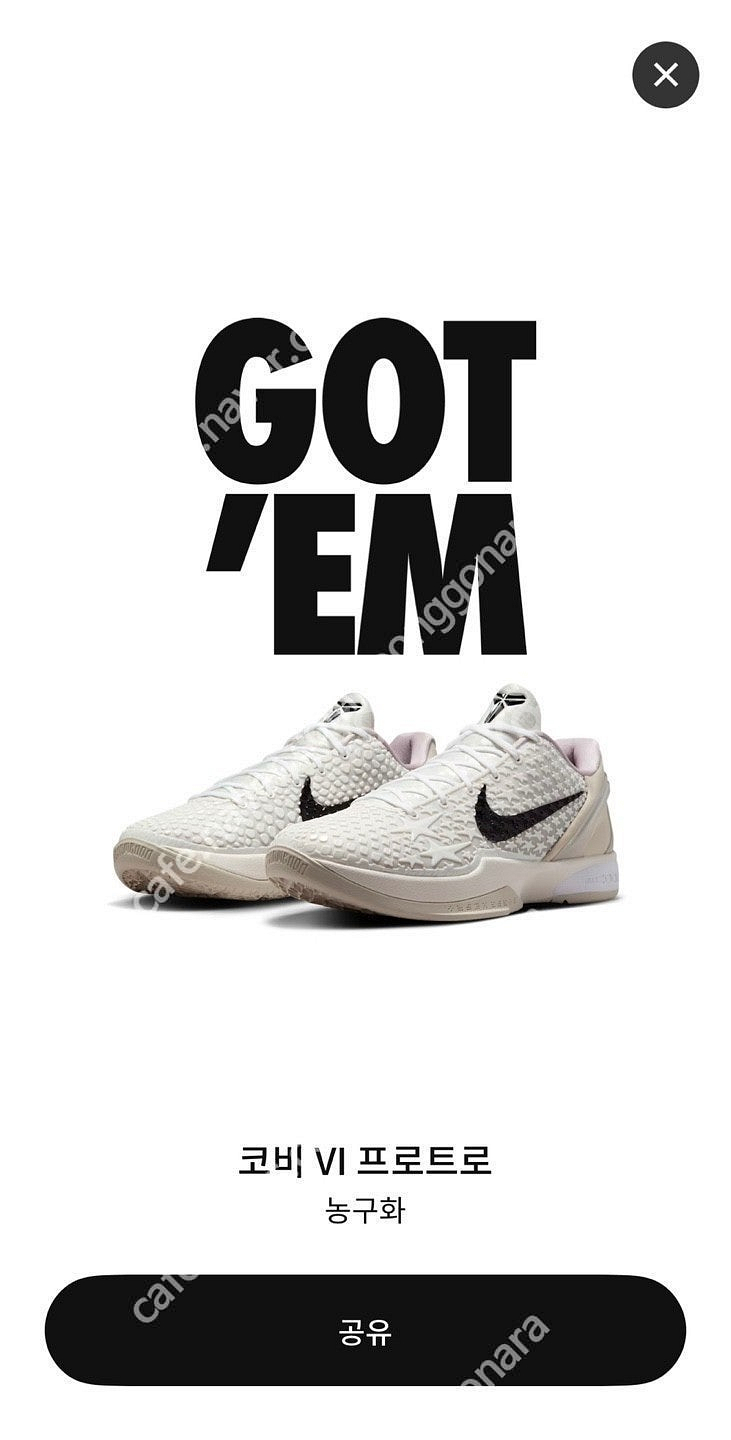코비 6 프로트로 세일, Kobe 6 Protro SA...--1