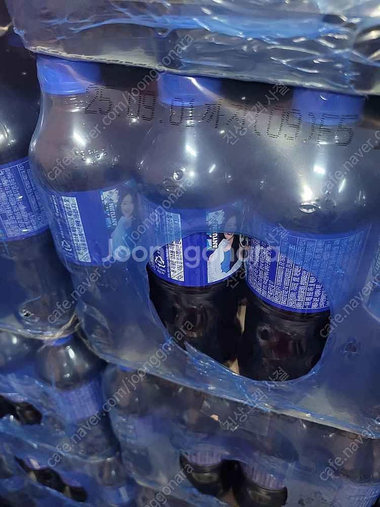 업소용 펩시 500ml--0
