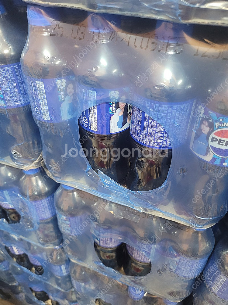 업소용 펩시 500ml--1