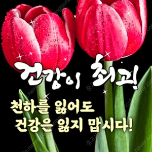 [판매] 스타벅스 카페 아메리카노T(ICE) x 4장