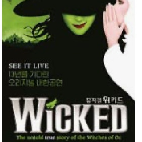 위키드 뮤지컬 반값 양도합니다ㅠㅠ 4만원