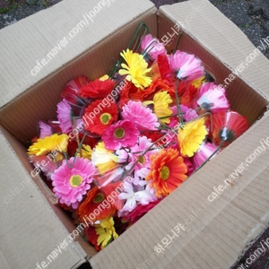 꽃집 화원 화환 제작용 거베라 조화 판매합니다.(박스당 수량 약200개 이상) 이미지