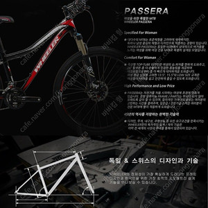 휠러 파세라200 mtb