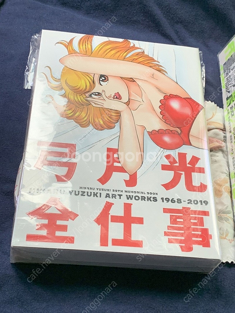 일본 원서 및 독일 원서 화집 판매... 대량추가..카...--2