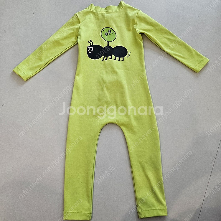 에그녹 라임개미 2y (gs반택포함)--1