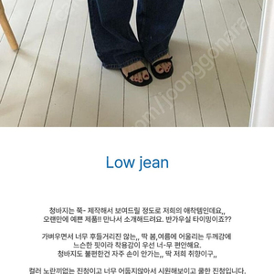 조이드비비에 로우진