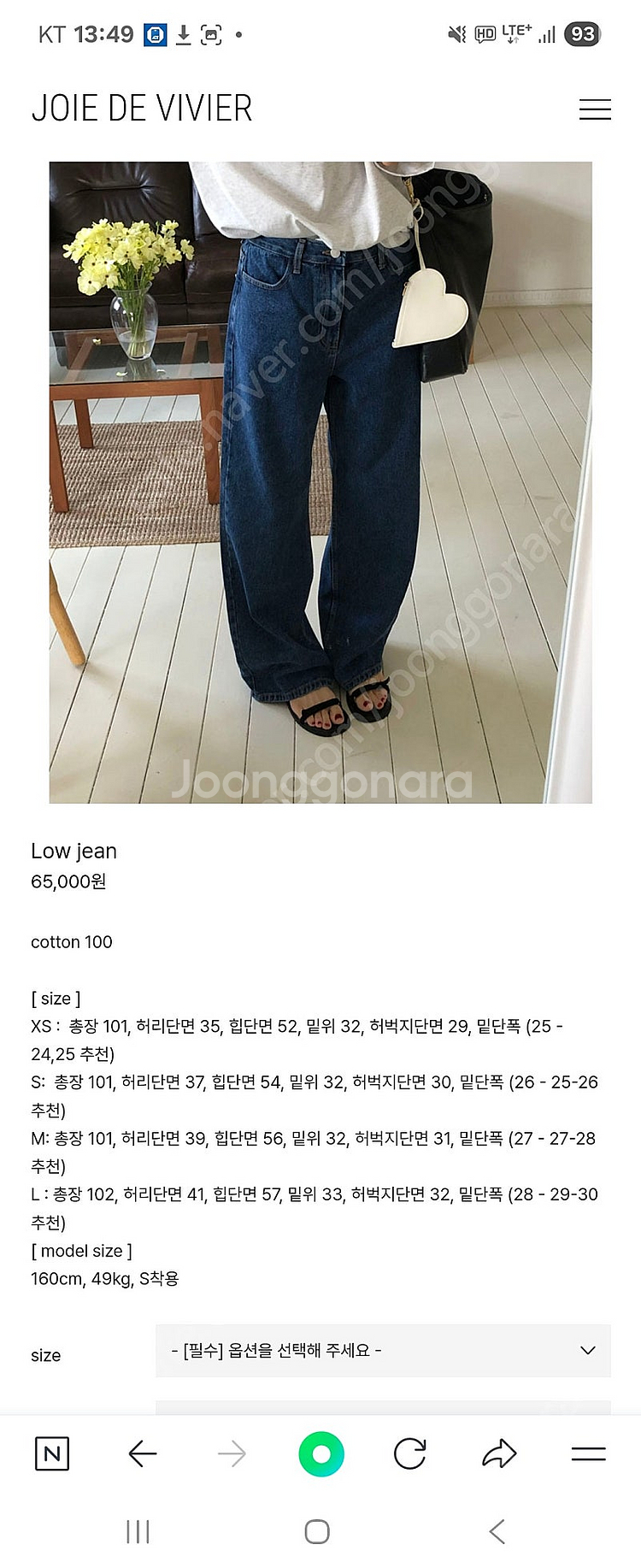 조이드비비에 로우진--1