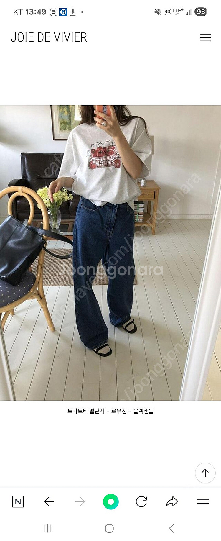 조이드비비에 로우진--2