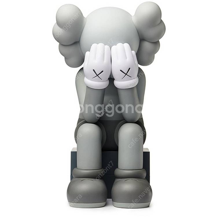kaws 카우스 오픈에디션 컴패니언 블랙, 패씽 쓰루,...--3