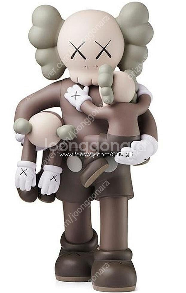 kaws 카우스 오픈에디션 컴패니언 블랙, 패씽 쓰루,...--0