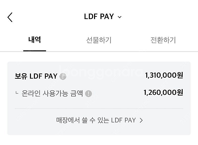 LDF Pay 132만원--1