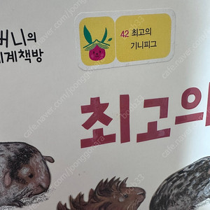 버니의 세계책방