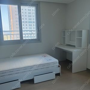 (이사 급처) 책상 + 책장