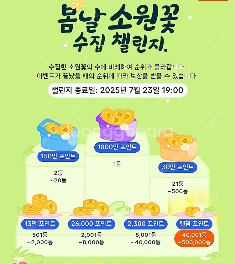 틱톡라이트 소원꽃 미접 7개--0