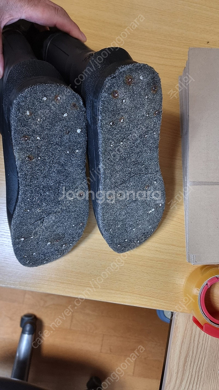 다이와웨이더, 뱅퀴시3000 ,스텔라1000 중고판매--0