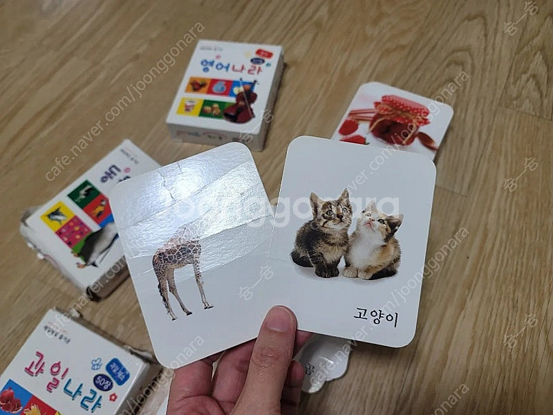 단어카드 낱말카드 250장세트--5