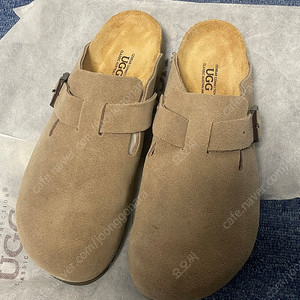 [41] 호주 어그 보스턴 슬리퍼 올리브