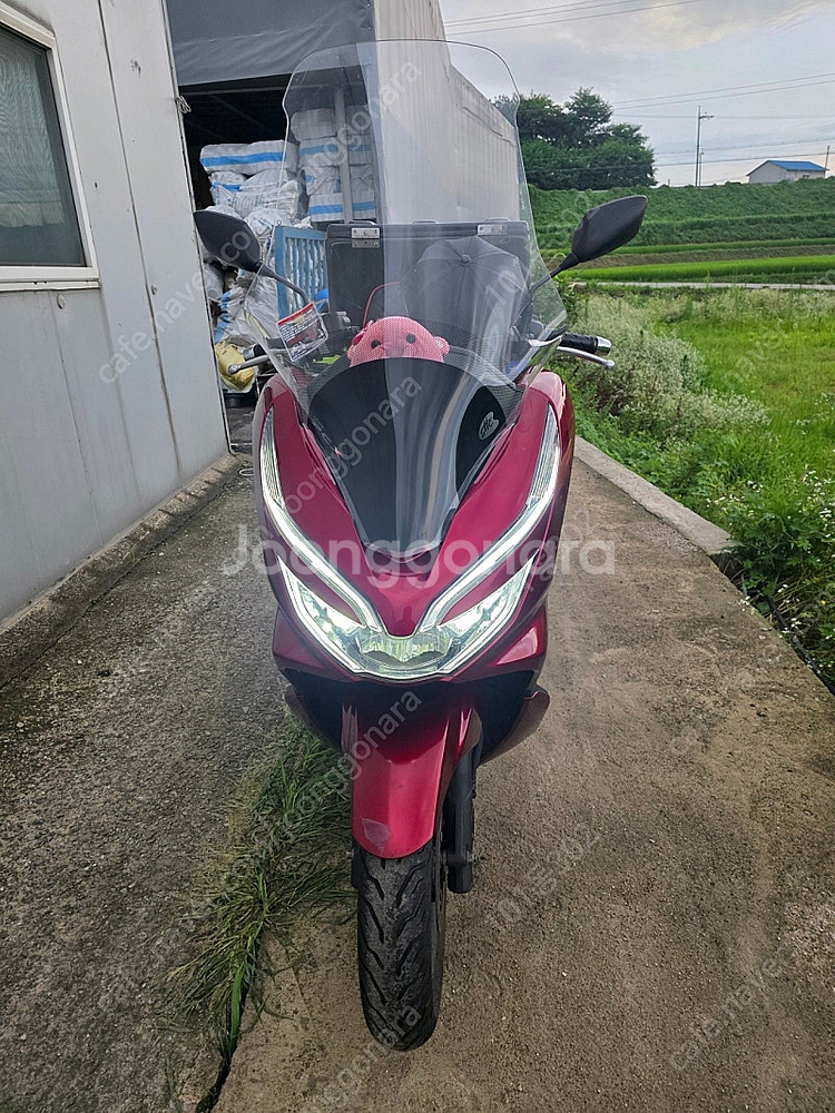 20년pcx125cc오토바이--0