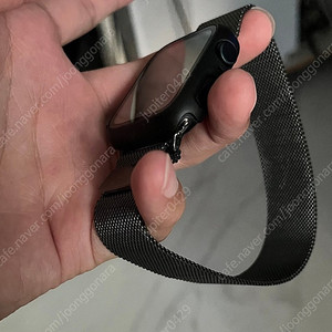 애플워치se2 44mm gps & 밀레니즈루프 스트랩